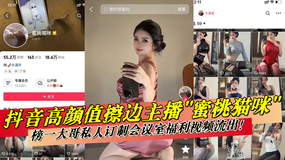 抖音高颜值擦边主播【蜜桃猫咪】榜一大哥私人订制会议室福利视频流出！